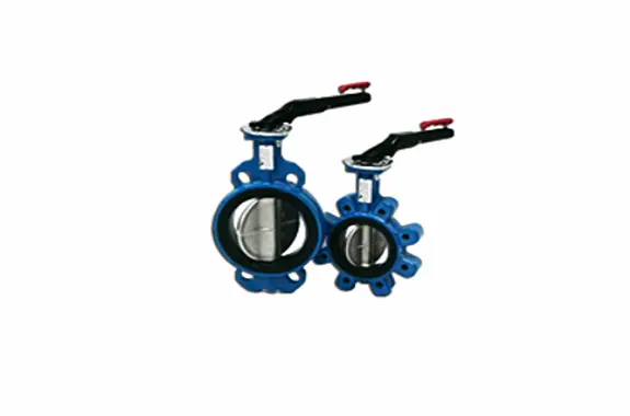 Hình ảnh minh họa (1)