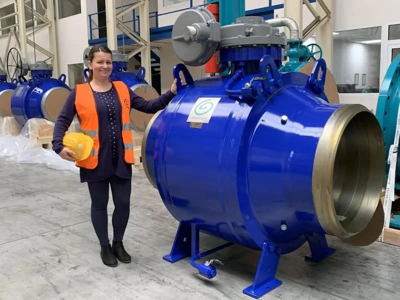 Hình minh họa (2)