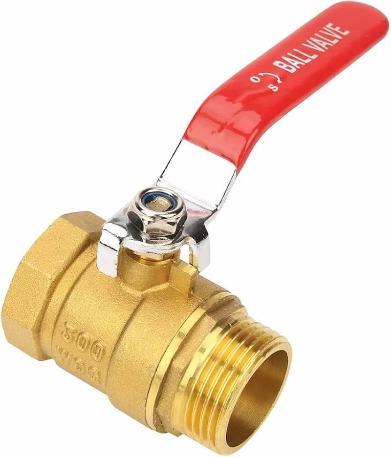 Hình minh họa (3)