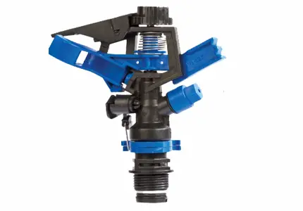 Hình ảnh minh họa (2)