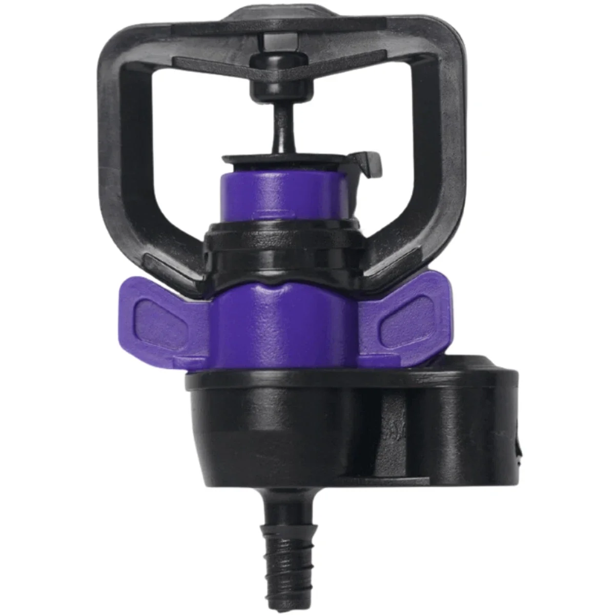 Hình ảnh minh họa (3)