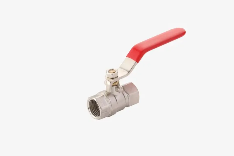 Hình ảnh minh họa (1)