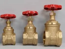 Hình ảnh minh họa (2)