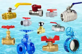 Hình ảnh minh họa (1)