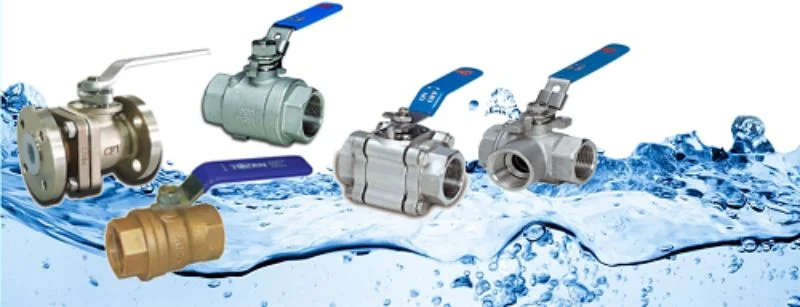 Hình ảnh minh họa (3)