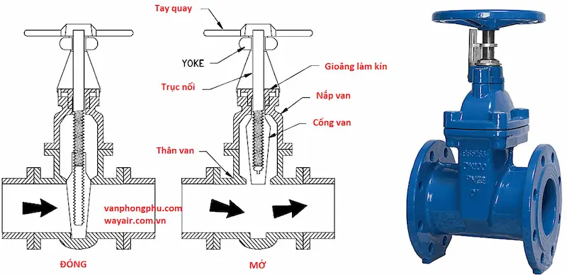 Hình ảnh minh họa (1)