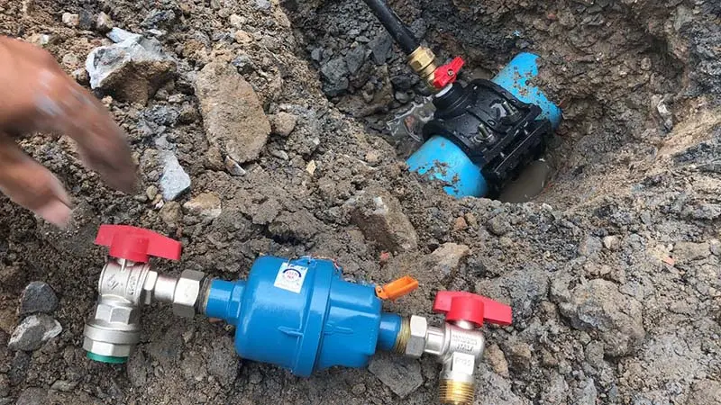 Hình ảnh minh họa (1)