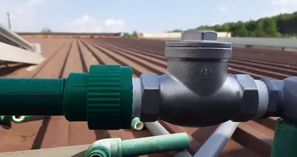 Hình ảnh minh họa (1)