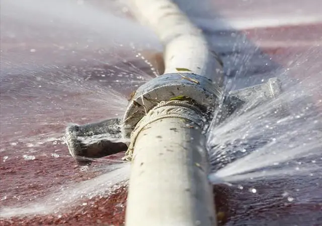 Hình ảnh minh họa (2)