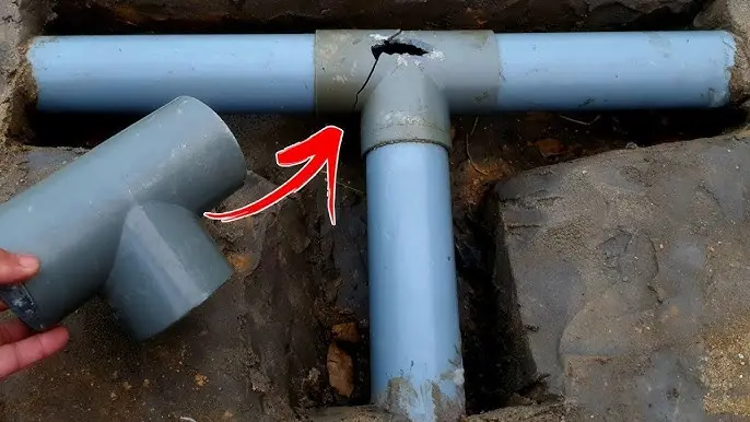 Hình ảnh minh họa (1)