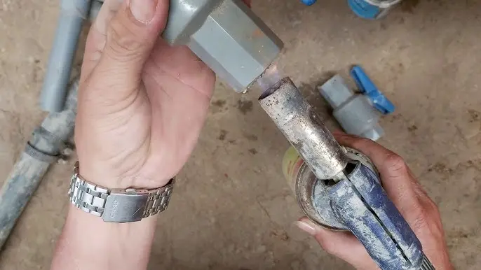 Hình ảnh minh họa (2)