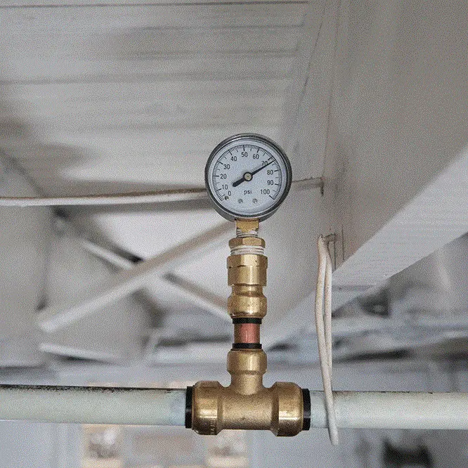 Hình ảnh minh họa (1)