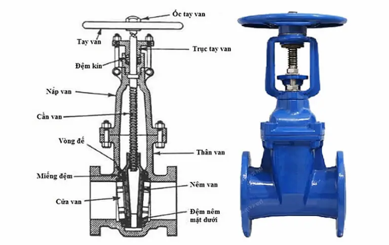 Hình ảnh minh họa (1)