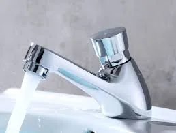 Hình ảnh minh họa (3)