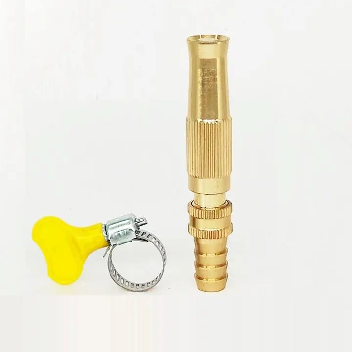 Hình ảnh minh họa (1)