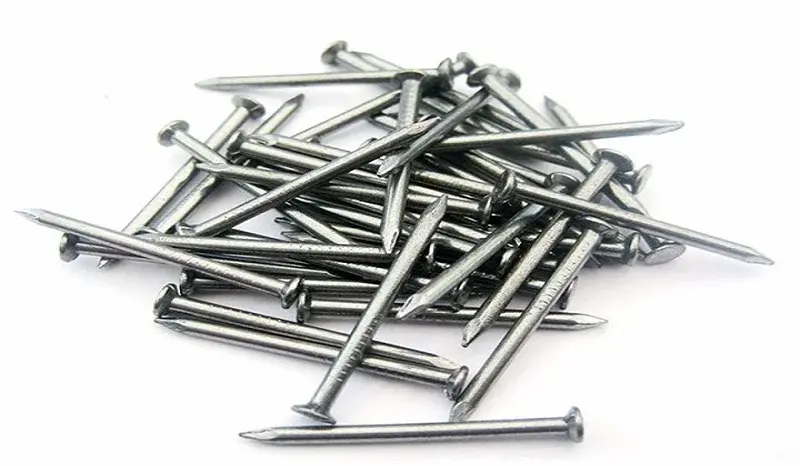 Hình ảnh minh họa (1)