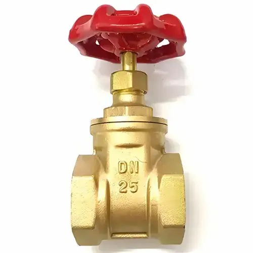 Hình ảnh minh họa (2)