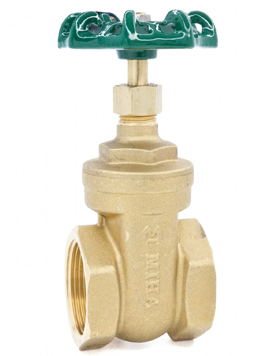 Hình ảnh minh họa (3)