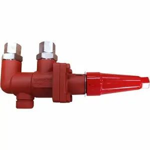 Hình ảnh minh họa (2)