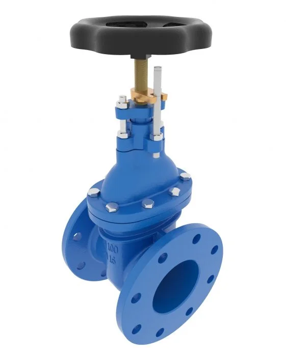 gate-valve-dn50