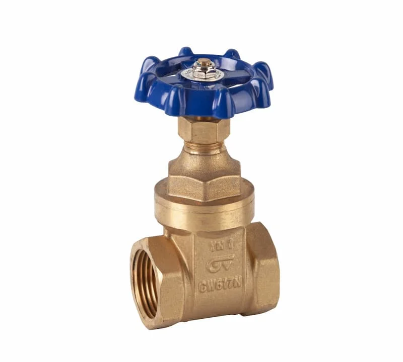 Hình minh họa (3)