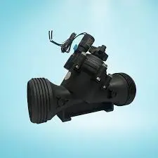 Hình ảnh minh họa (1)