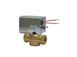 Hình ảnh minh họa (3)