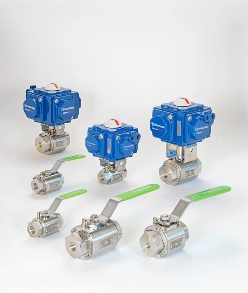 Hình minh họa (3)