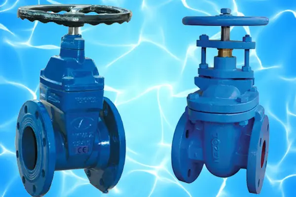 Hình ảnh minh họa (2)