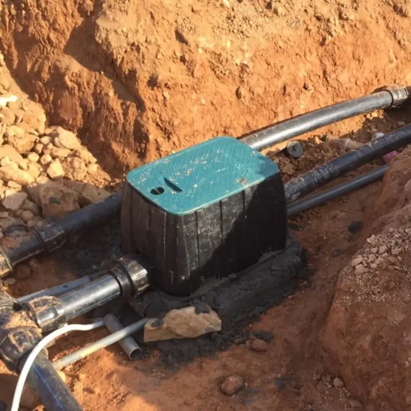 Hình ảnh minh họa (1)