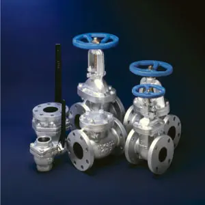 Hình ảnh minh họa (2)