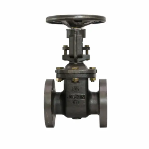 Hình ảnh minh họa (1)