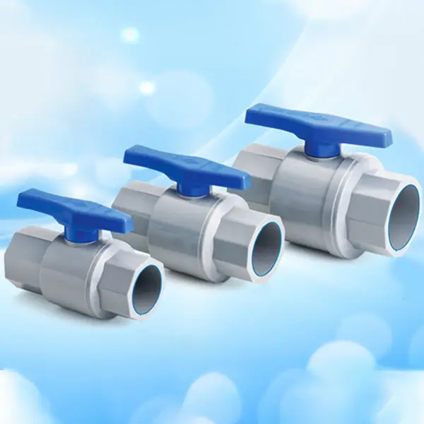 Hình ảnh minh họa (2)