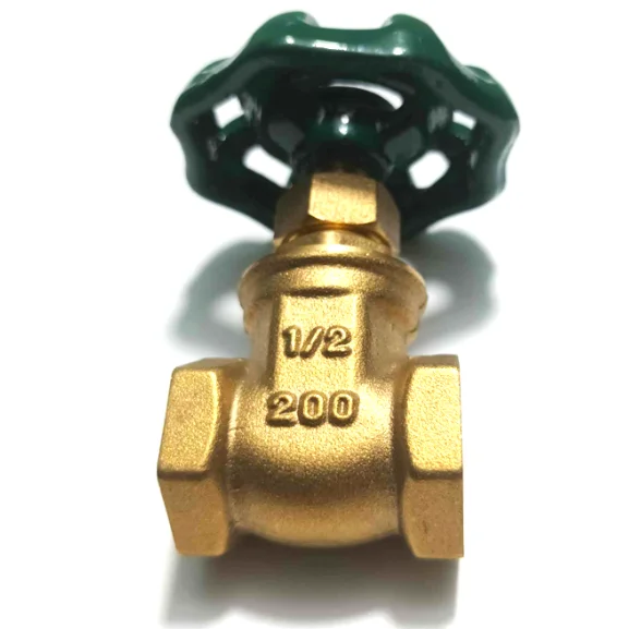 Hình minh họa (2)