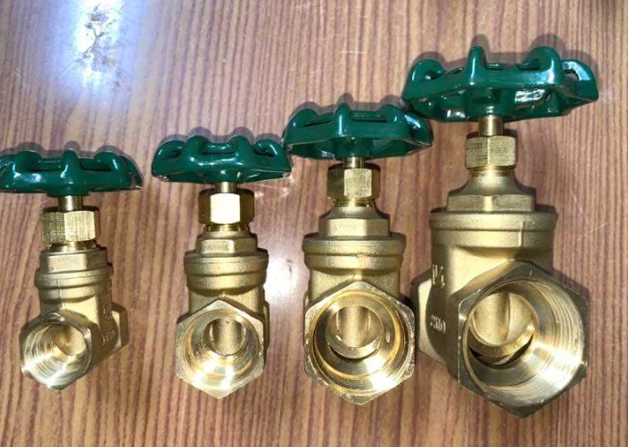 Hình minh họa (1)