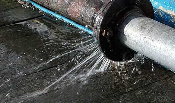 Hình ảnh minh họa (2)