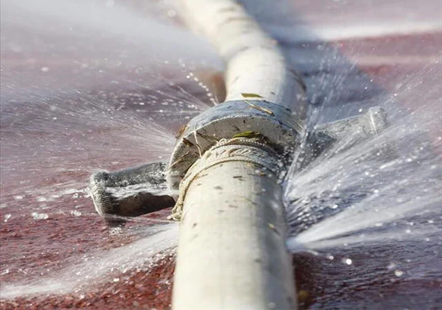 Hình ảnh minh họa (3)