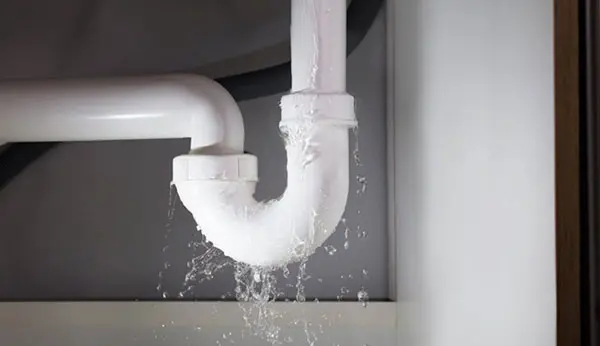 Hình ảnh minh họa (1)