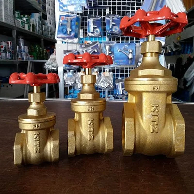 Hình minh họa (2)