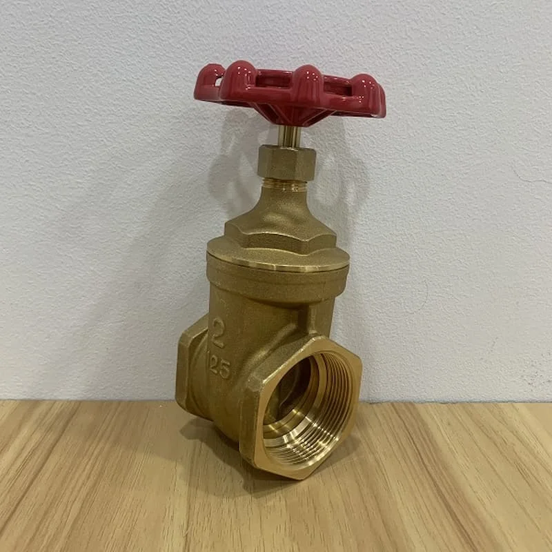 Hình minh họa (3)