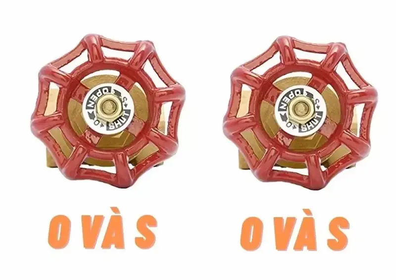 Hình ảnh minh họa (1)