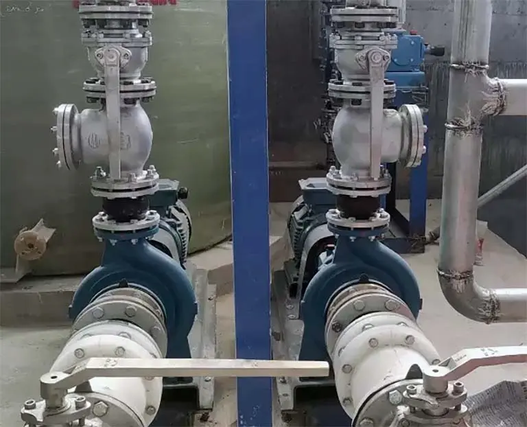 Hình ảnh minh họa (1)