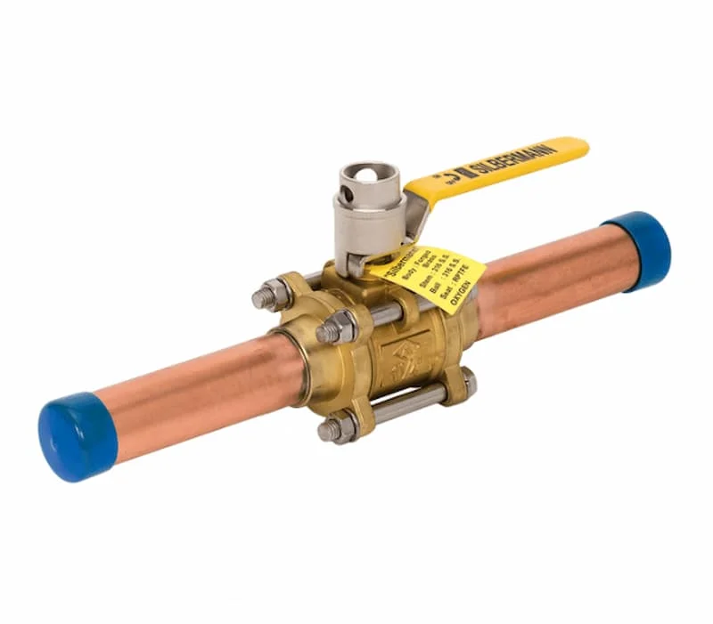 Hình minh họa (1)