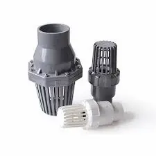 Hình ảnh minh họa (2)