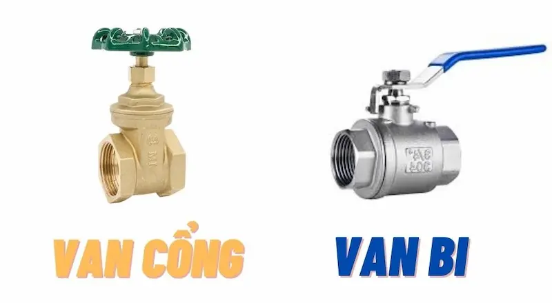 Hình ảnh minh họa (1)