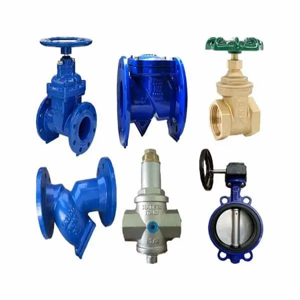 Hình ảnh minh họa (2)