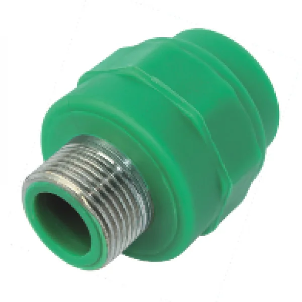 Hình ảnh minh họa (3)