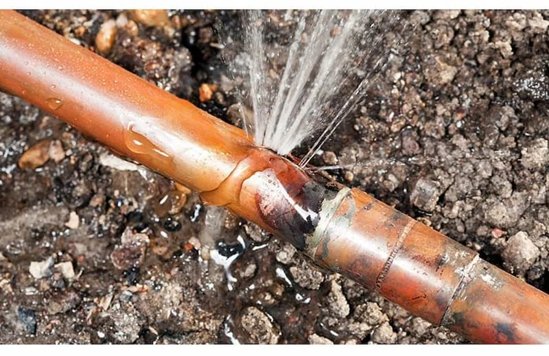 Hình minh họa (1)