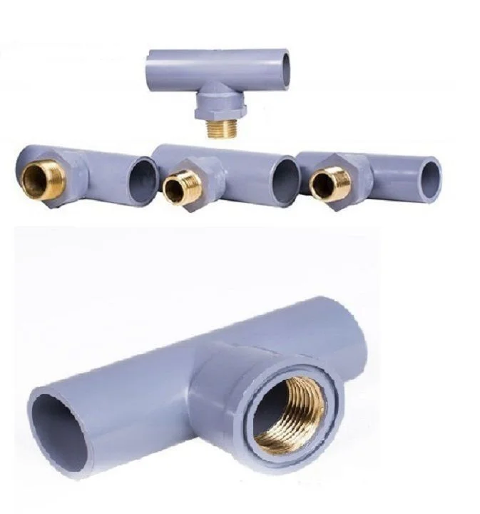 Hình ảnh minh họa (3)