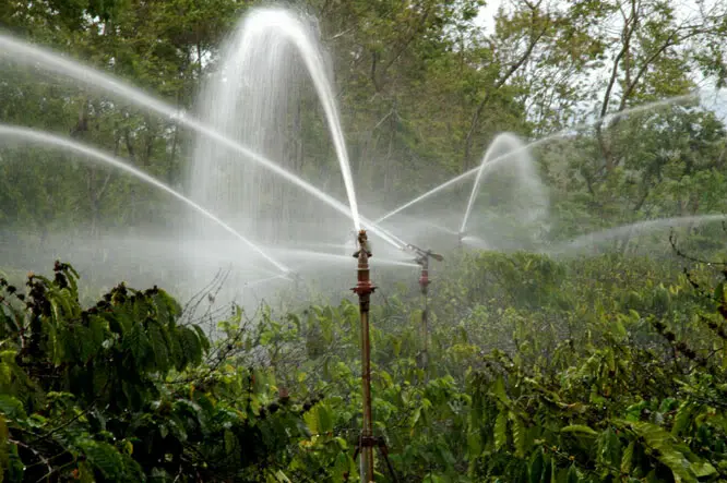 Hình ảnh minh họa (2)